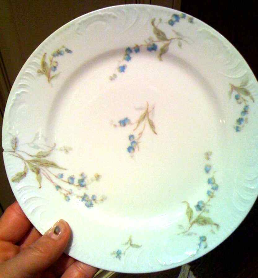 CHF1538 Dinner Plate by Charles Field Haviland-1