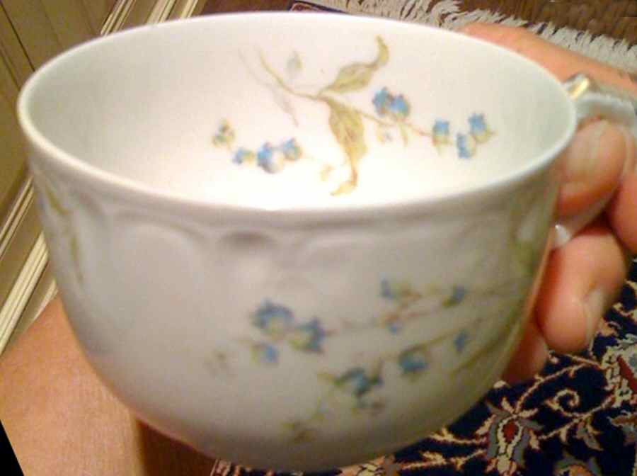 CHF1538 Flat Cup by Charles Field Haviland-1