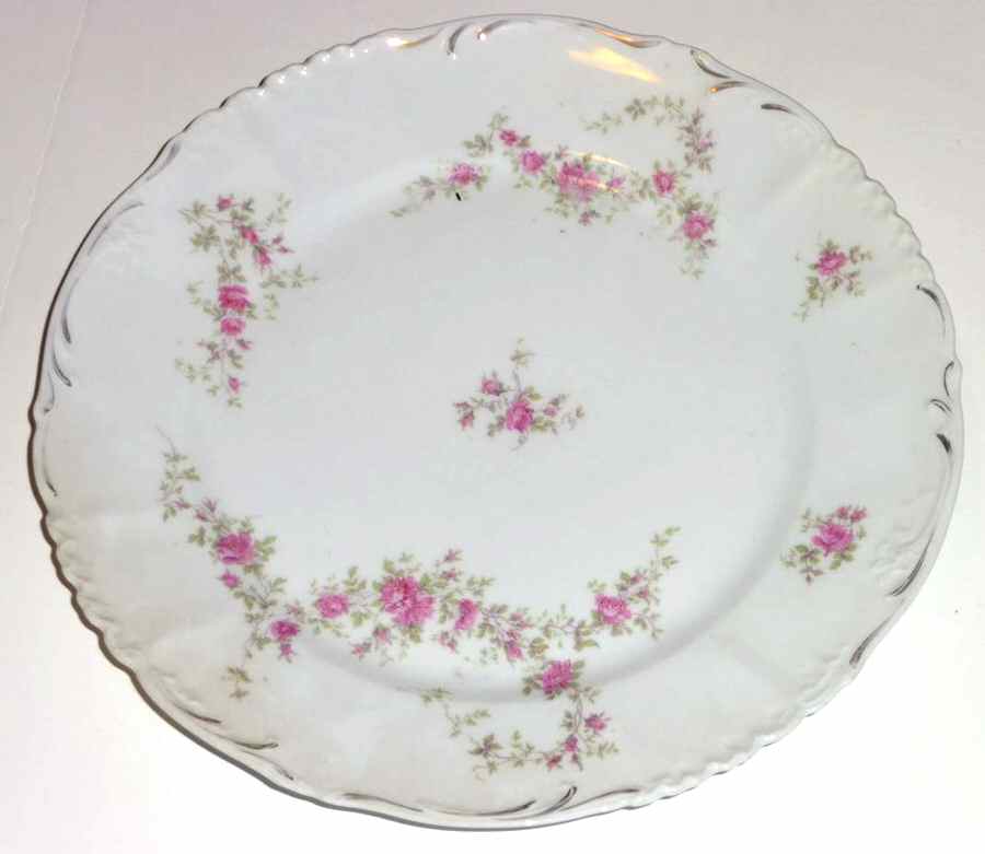 9165-85 Dinner Plate by Carlsbad-1
