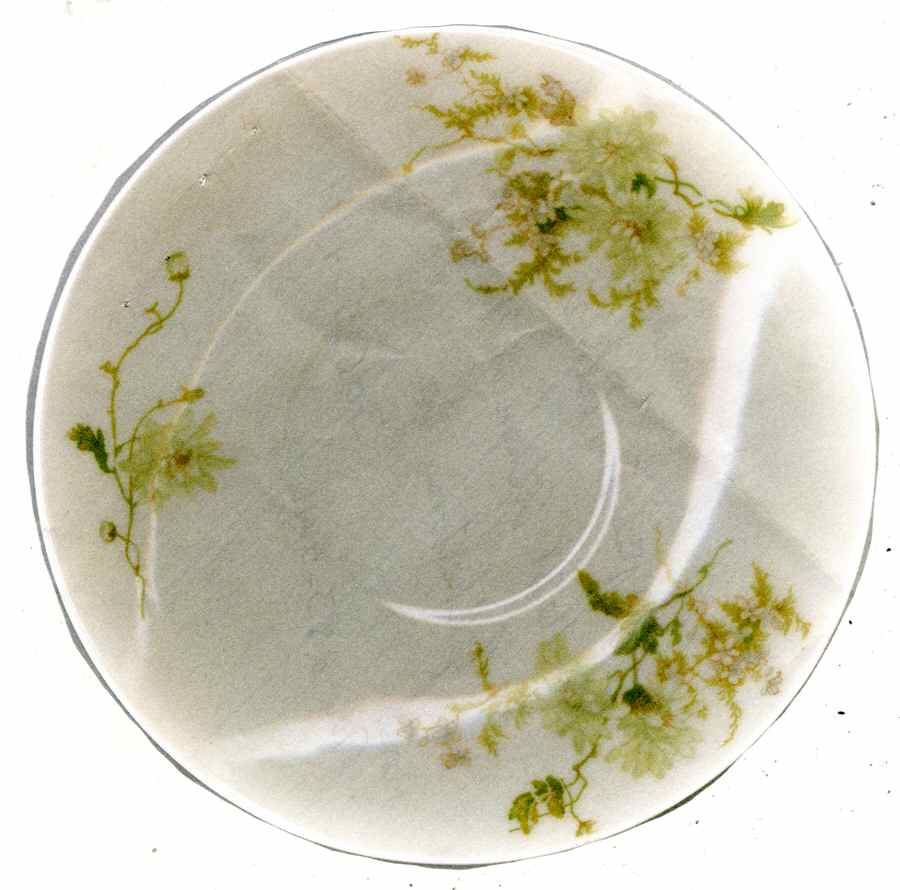 CHF1540 Saucer by Charles Field Haviland-1