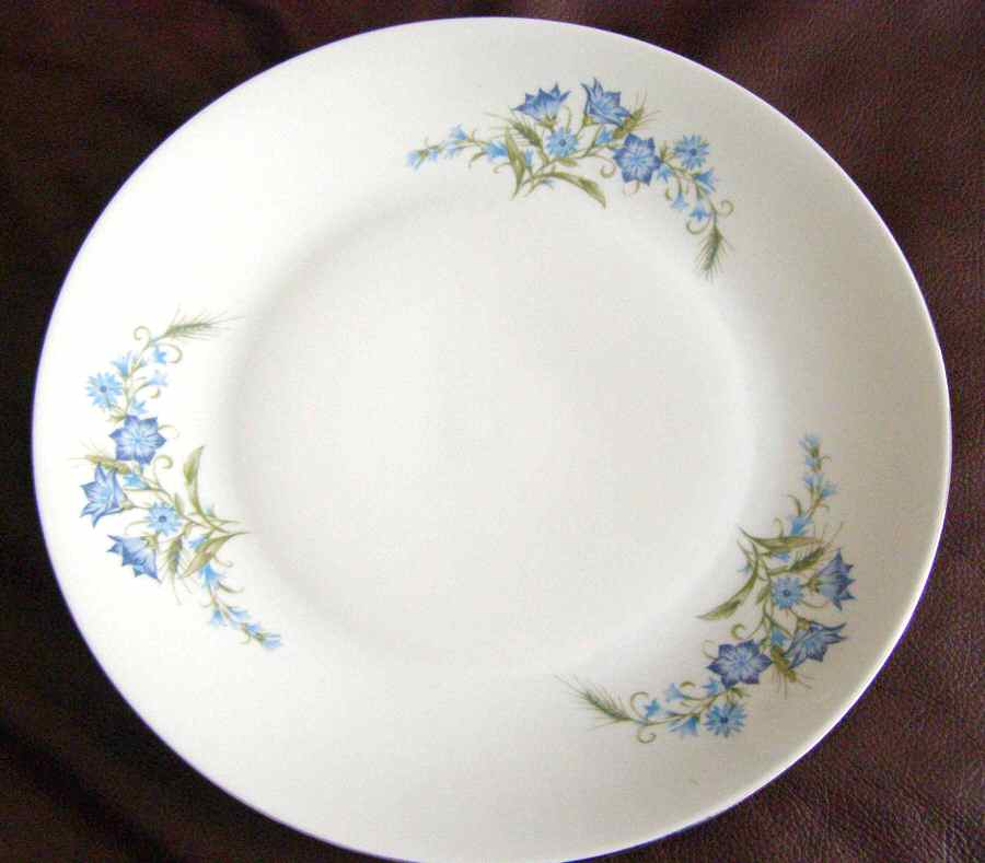 054212 Dinner Plate by Chodziez-Poland-1
