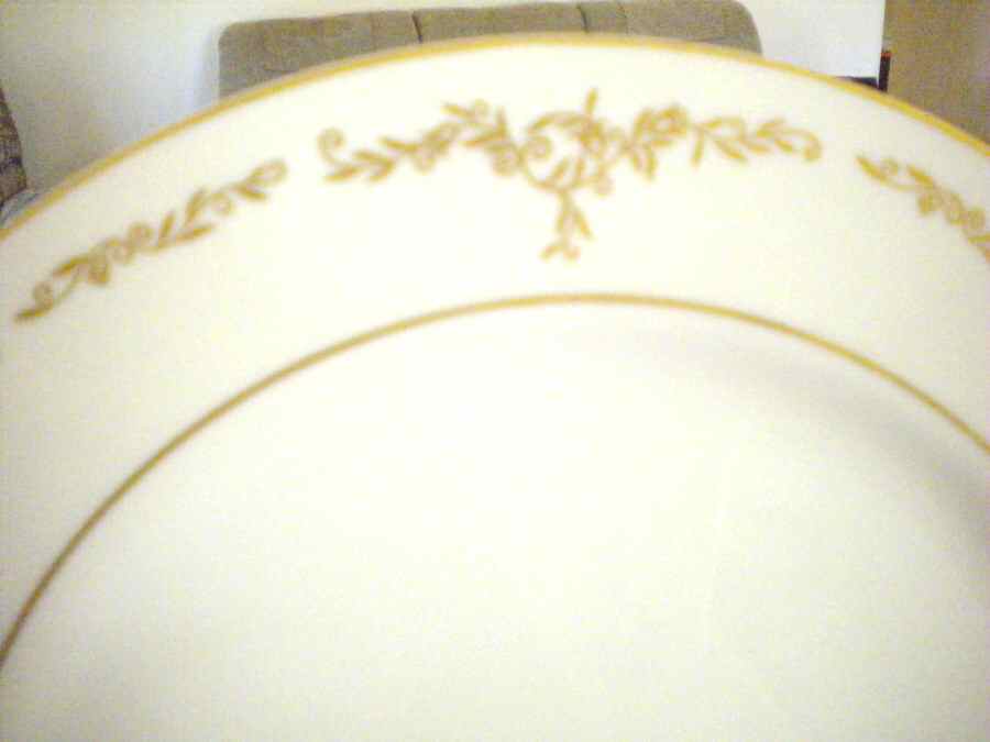 C9P1 Dinner Plate by Crown Princess-1