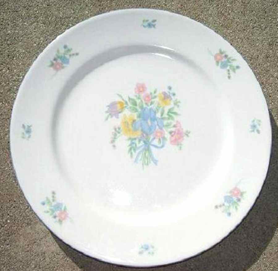 CX513 Dinner Plate by China (Made in China)-1