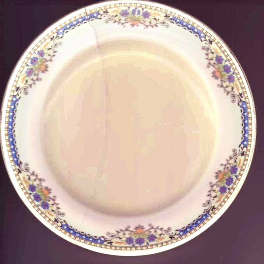 CAN237 Bread & Butter Plate by Canonsburg-1