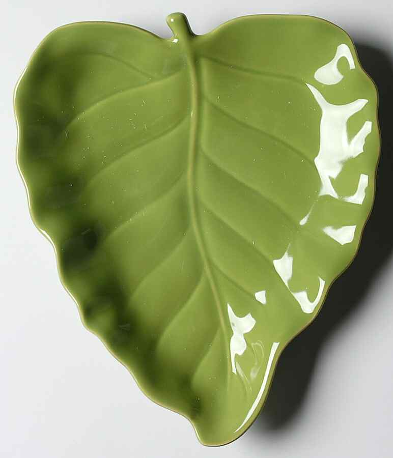 Fauna Salad Plate by Cindy Crawford Style-1