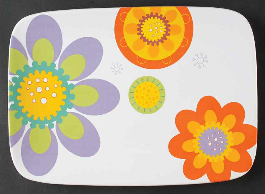 Modern Garden Chip Bowl/Plate for Chip & Dip Set by Certified International-1