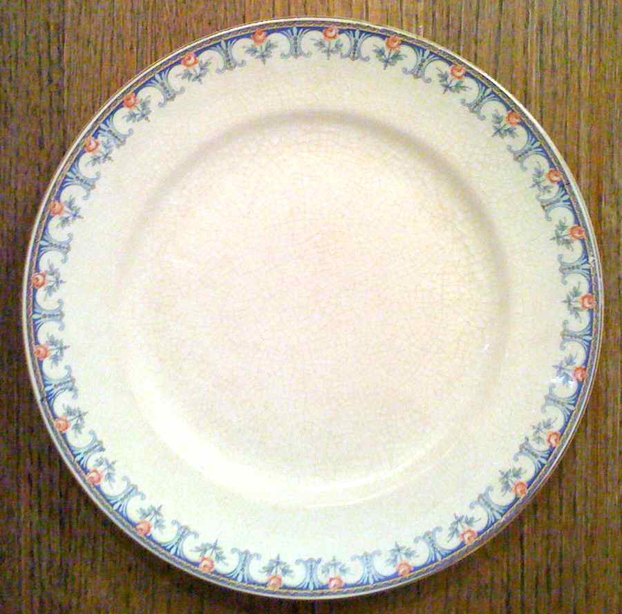 CAN239 Dinner Plate by Canonsburg-1