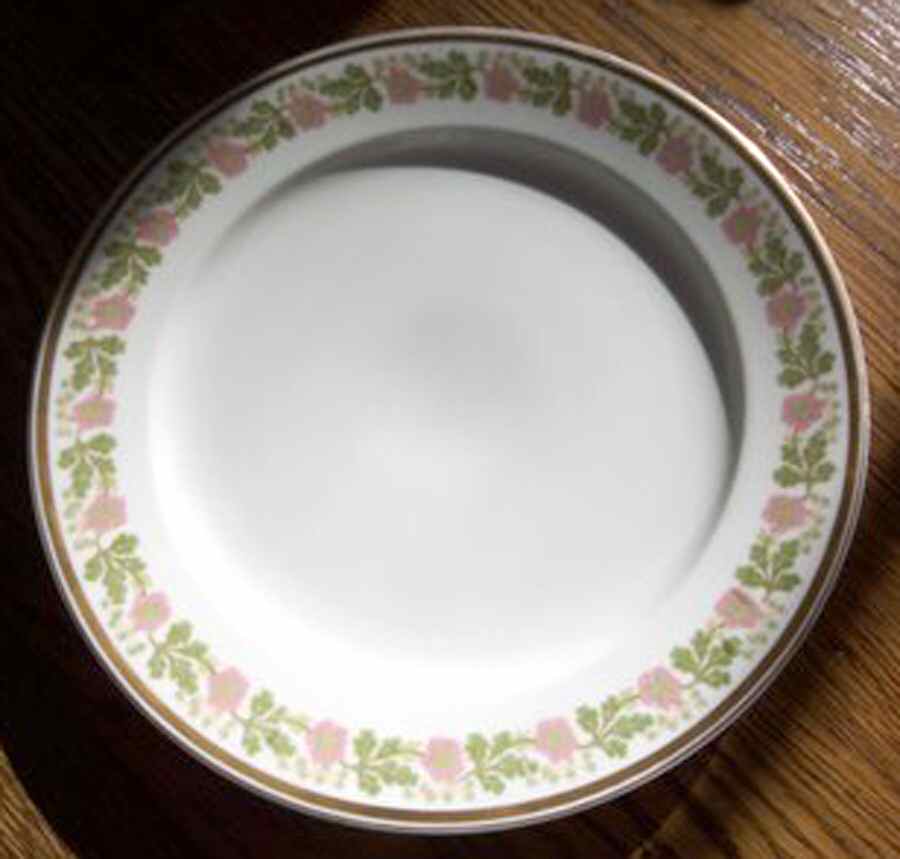 CHF1557 Dinner Plate by Charles Field Haviland-1