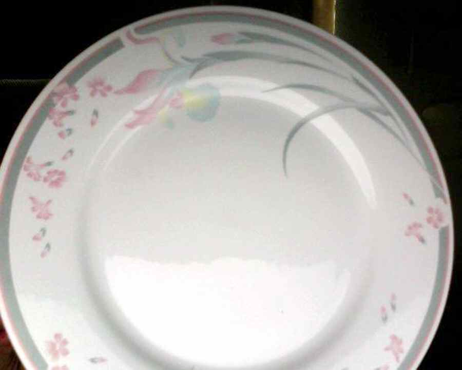 CX529 Dinner Plate by China (Made in China)-1