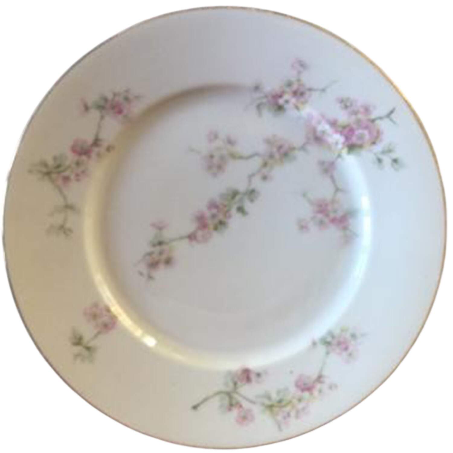 CTI212 Bread & Butter Plate by Carl Tielsch-1
