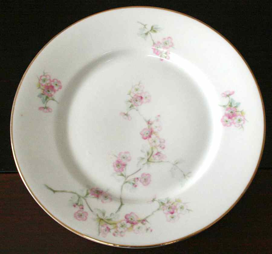 CTI212 Salad Plate by Carl Tielsch-1