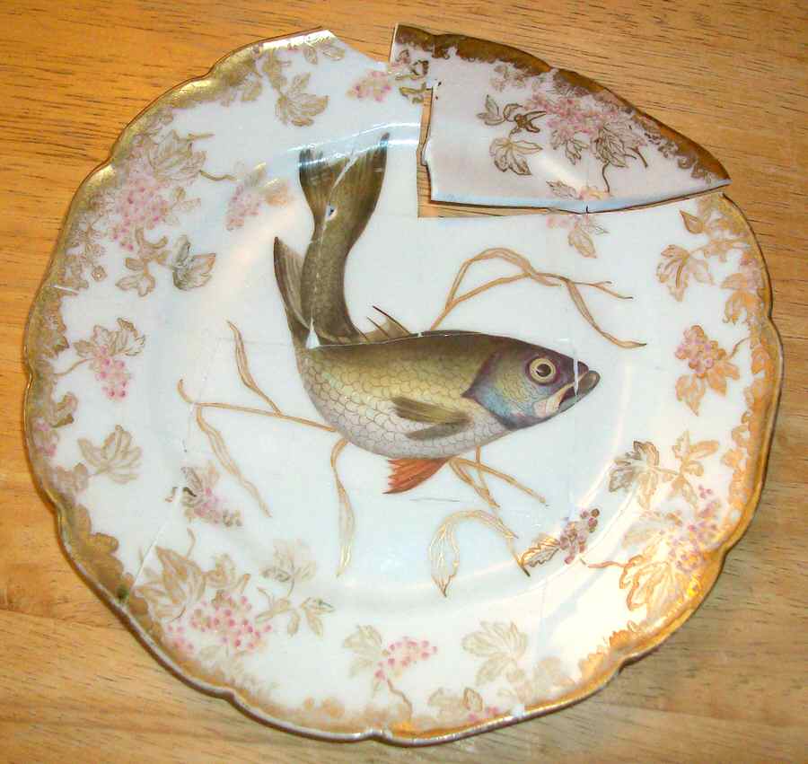 CHF1560 Salad Plate by Charles Field Haviland-1