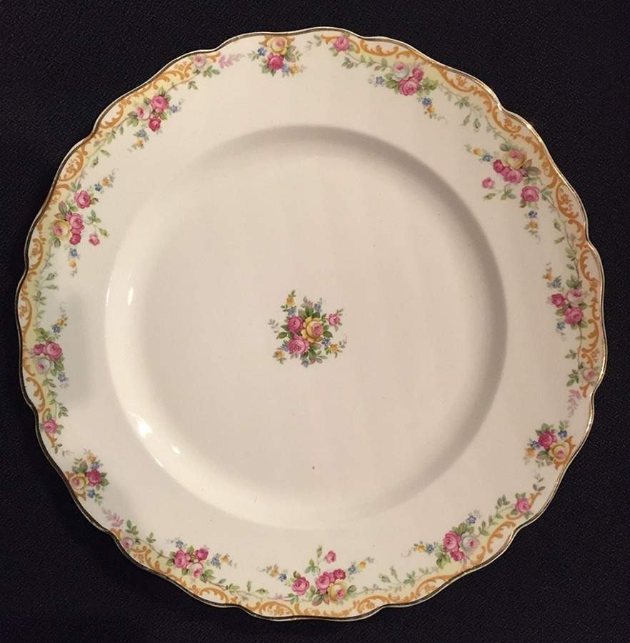CAN240 Dinner Plate by Canonsburg-1