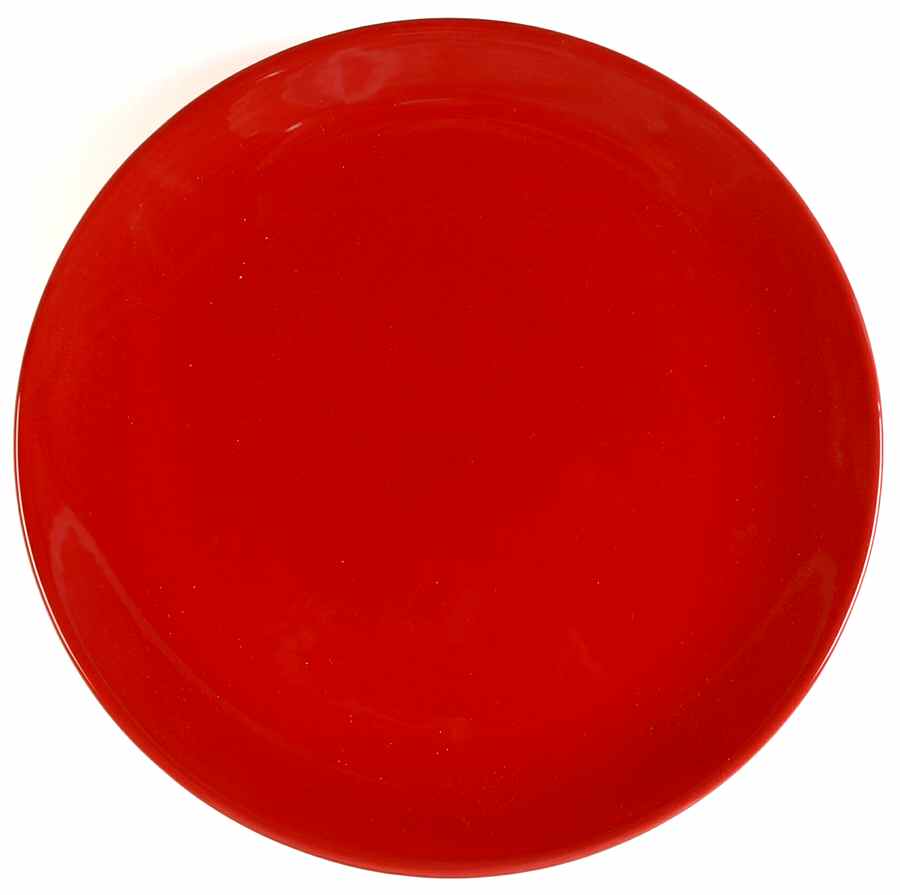 Floral Stripe Accent Dinner Plate by Clay Art-1