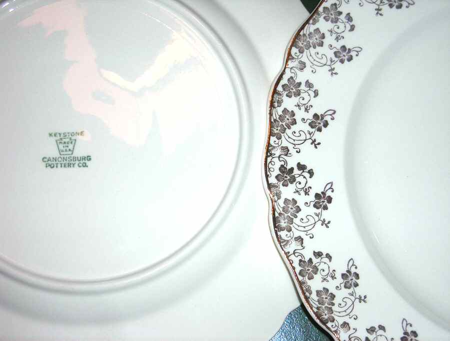 CAN241 Dinner Plate by Canonsburg-1