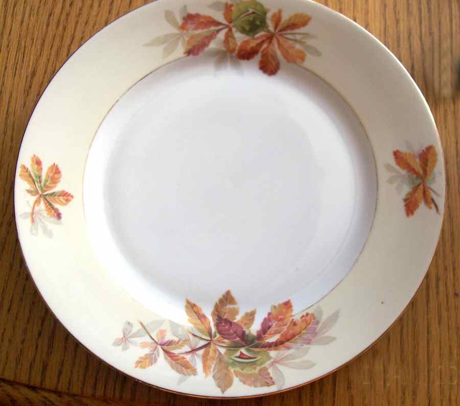 CEB123 Dinner Plate by Celebrate-1