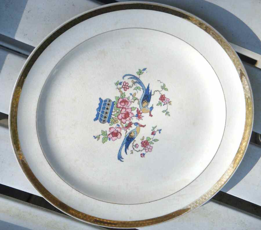 CAN243 Dinner Plate by Canonsburg-1