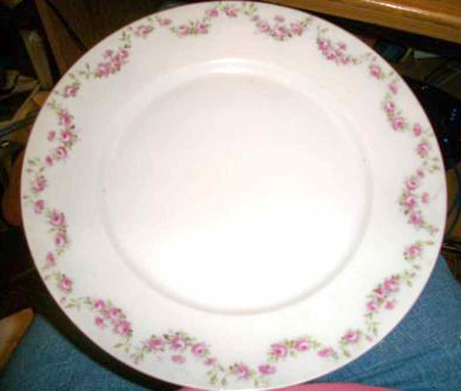 CTI216 Dinner Plate by Carl Tielsch-1