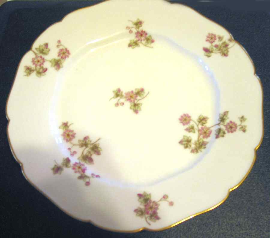 CHF1570 Luncheon Plate by Charles Field Haviland-1