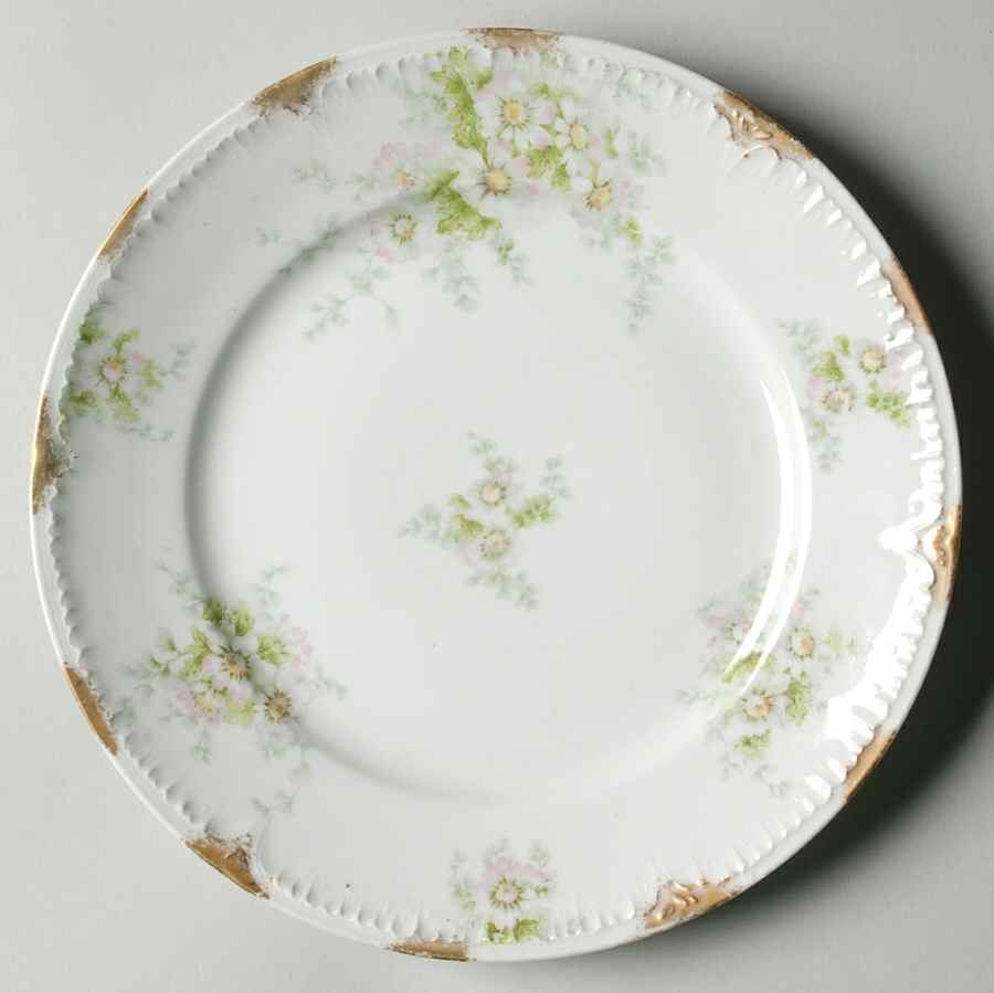 CHF1571 Luncheon Plate by Charles Field Haviland-1