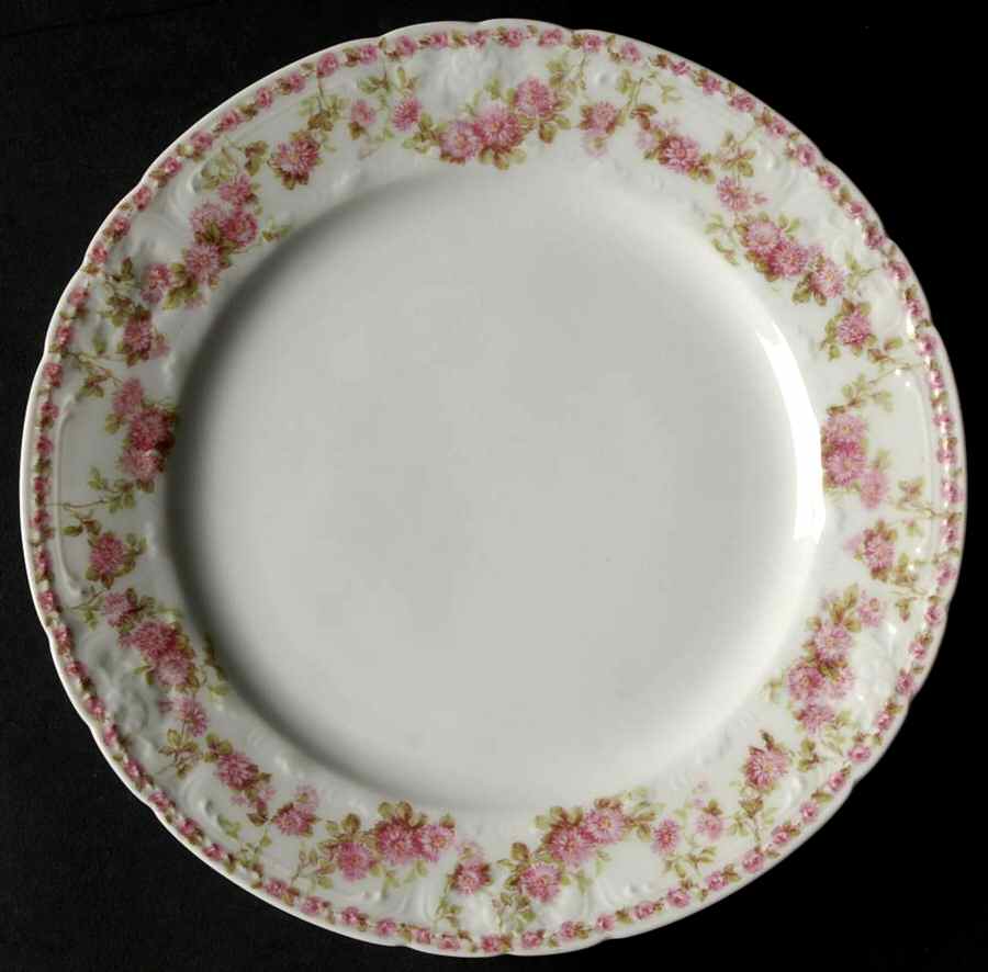 Schleiger 195-5 Salad Plate by Charles Field Haviland-1
