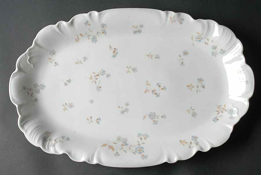 Schleiger 372-5 17" Oval Serving Platter by Charles Field Haviland-1