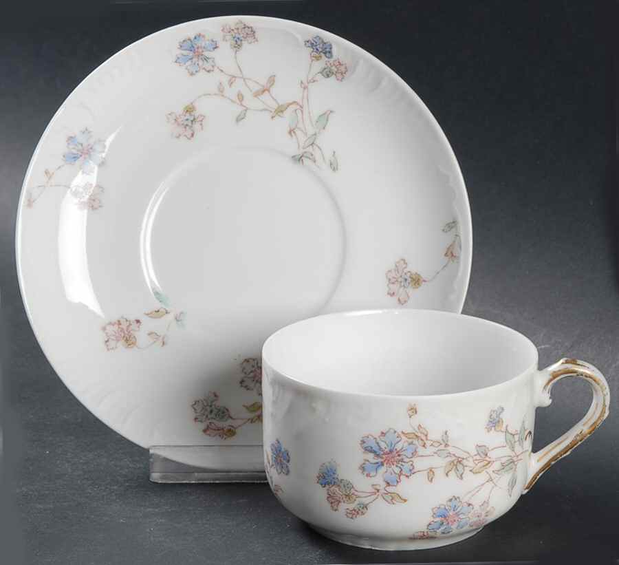 Schleiger 372-5 Flat Cup & Saucer Set by Charles Field Haviland-1