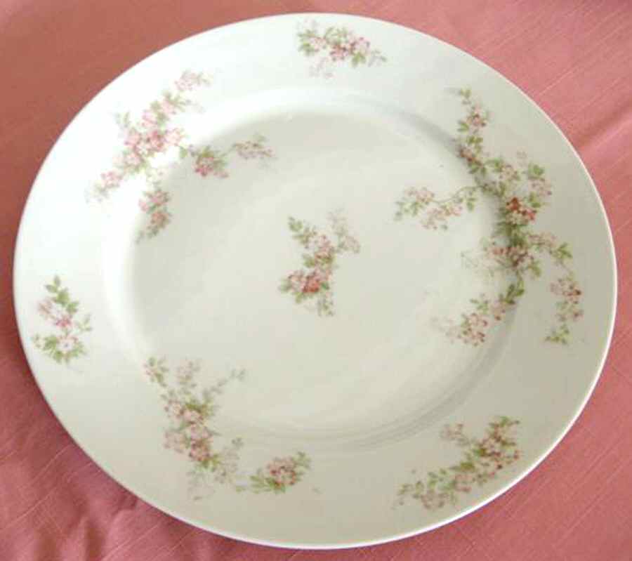 CHF1575 Dinner Plate by Charles Field Haviland-1
