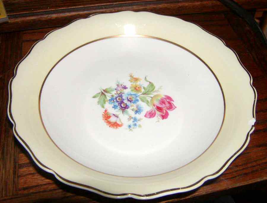 CAN248 Dinner Plate by Canonsburg-1