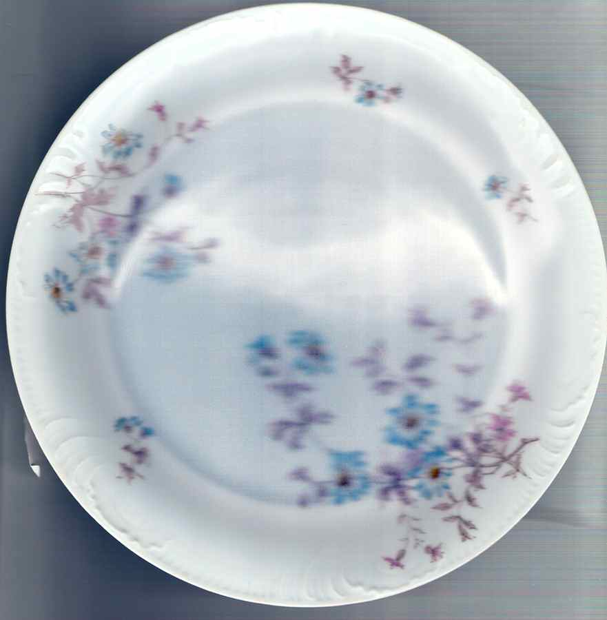 CHF1577 Dinner Plate by Charles Field Haviland-1