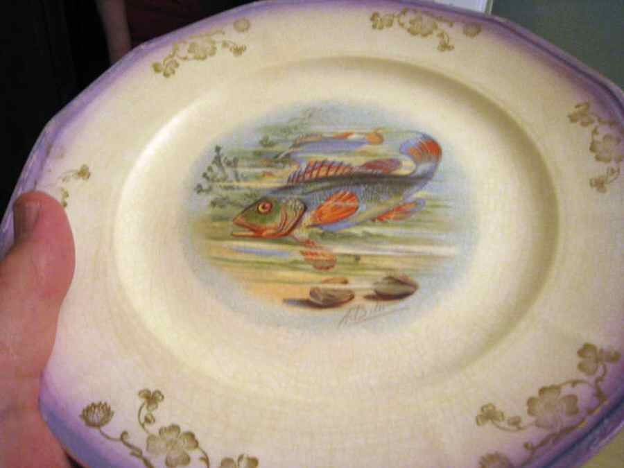 CSA26 Dinner Plate by Crescent China -1