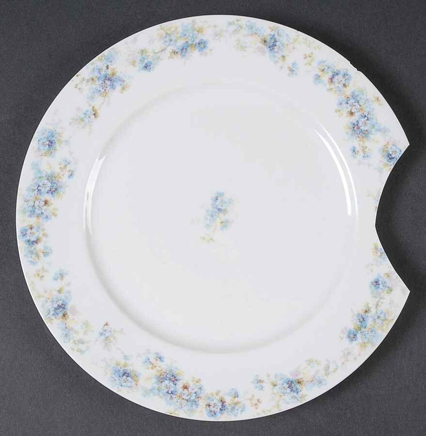 CHF1584 Luncheon Plate by Charles Field Haviland-1