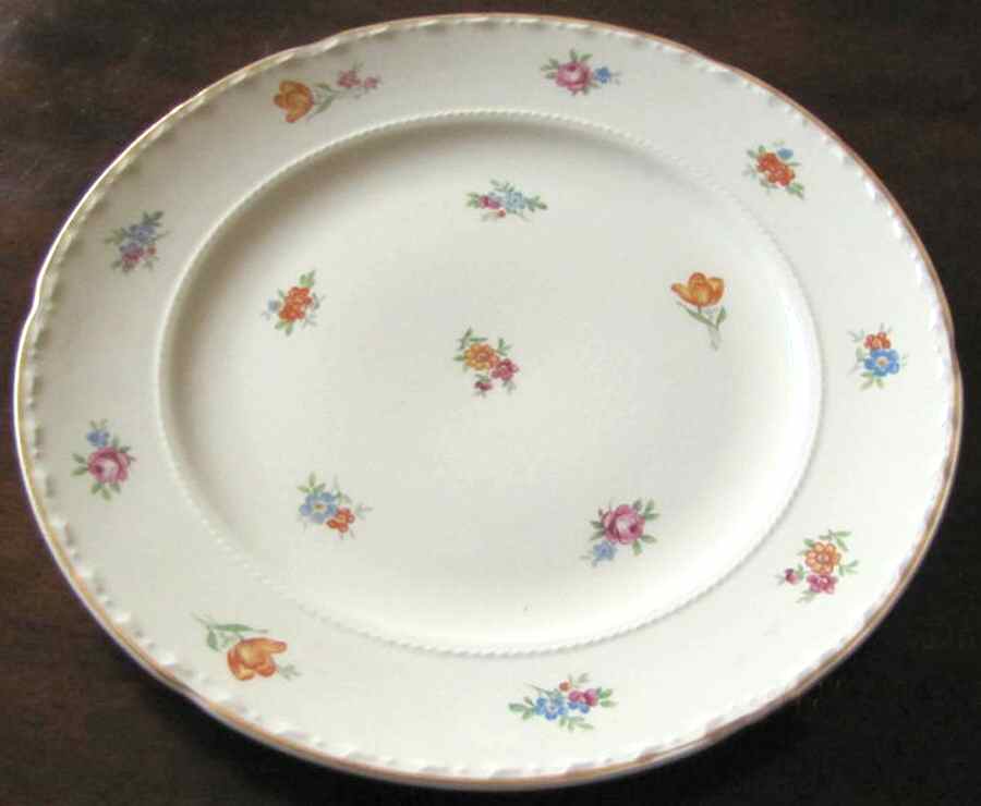 CRO352 Dinner Plate by Crooksville-1