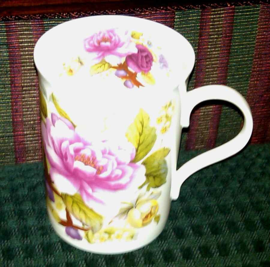 Various Mugs Only Mug by Crown Trent-1