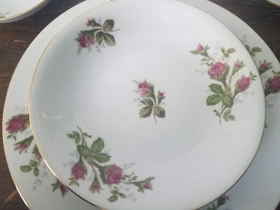 CJN4 Dinner Plate by Corona-Japan-1