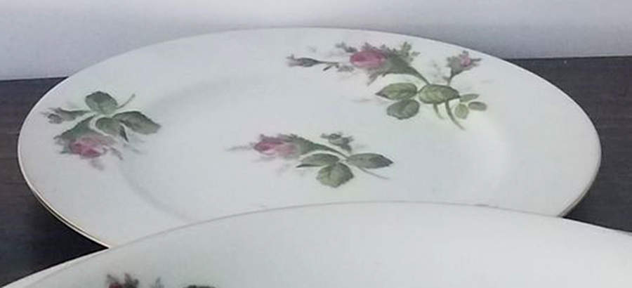 CJN4 Bread & Butter Plate by Corona-Japan-1
