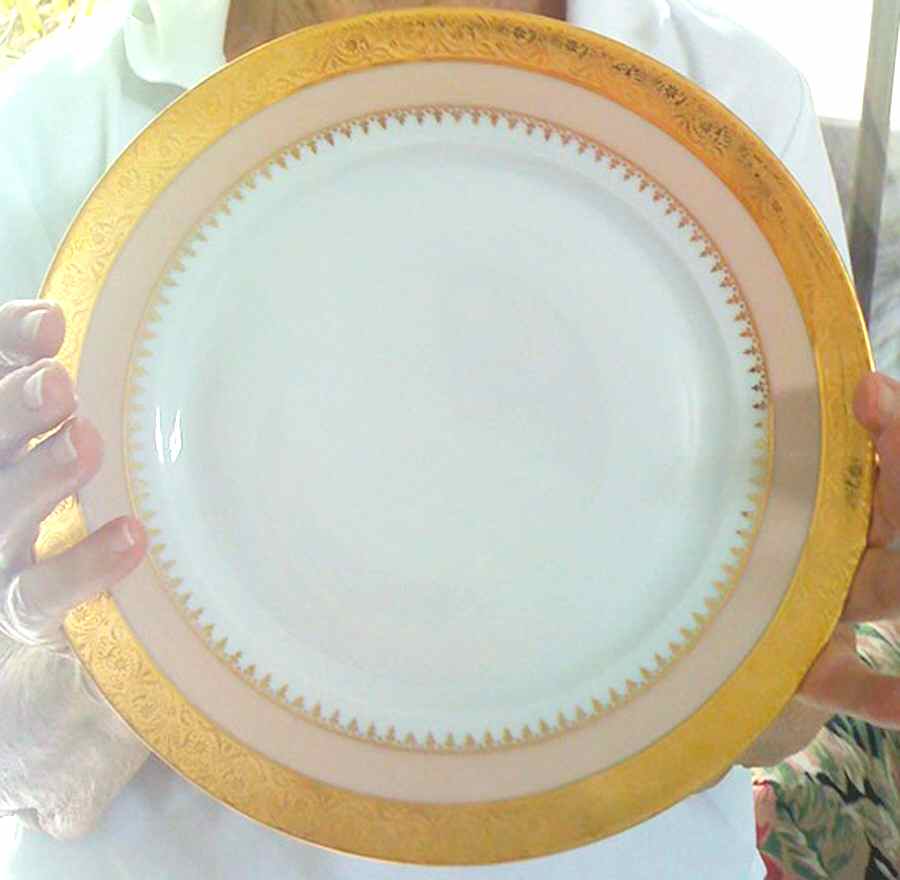CHF1589 Dinner Plate by Charles Field Haviland-1