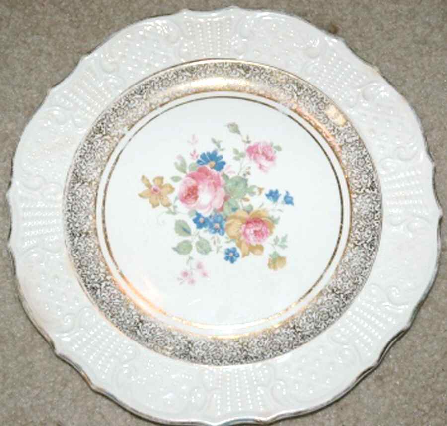 CAN253 Dinner Plate by Canonsburg-1