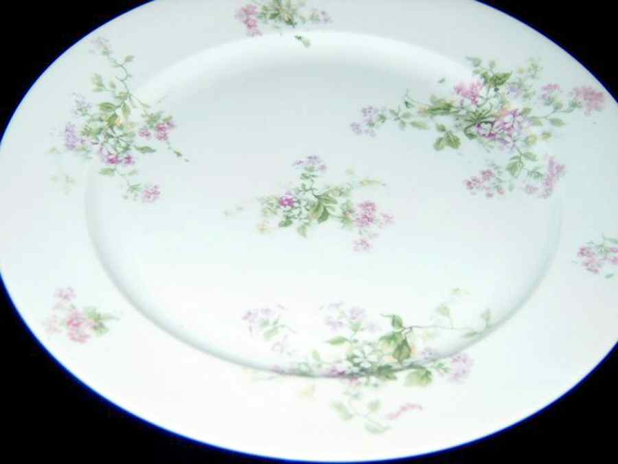 CHF1591 Dinner Plate by Charles Field Haviland-1
