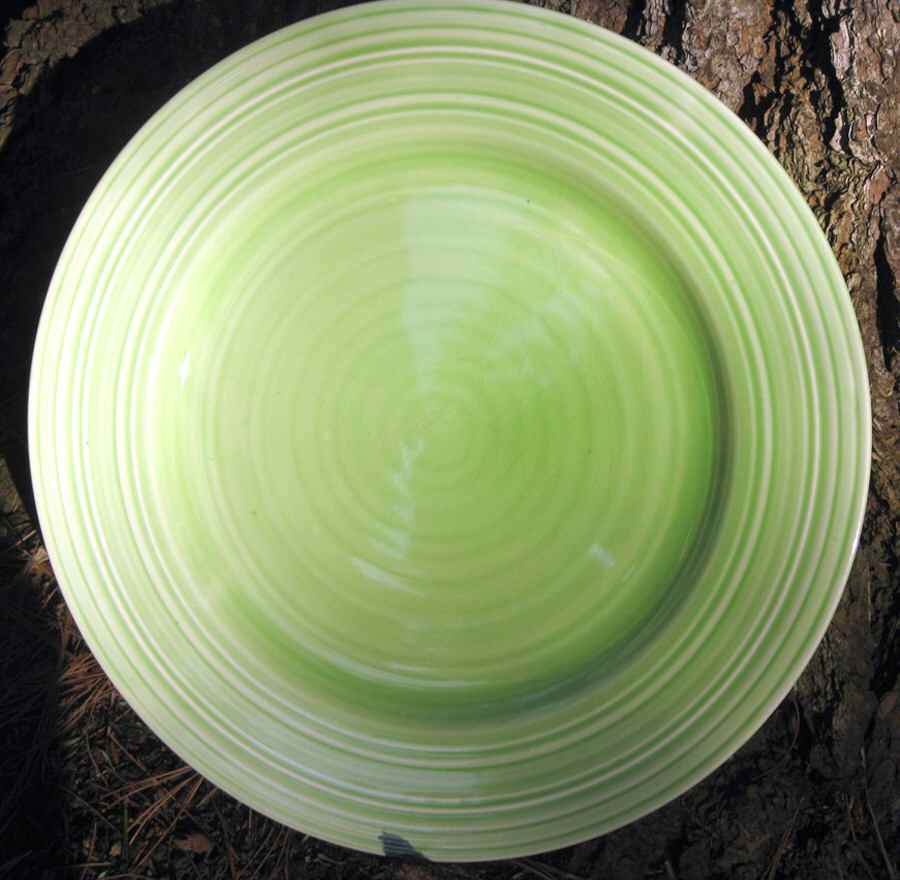CRD236 Dinner Plate by Crown Ducal-1