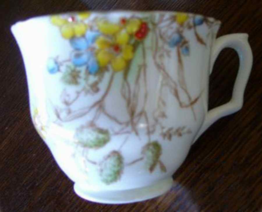 F15667 Footed Cup by Crown Staffordshire-1