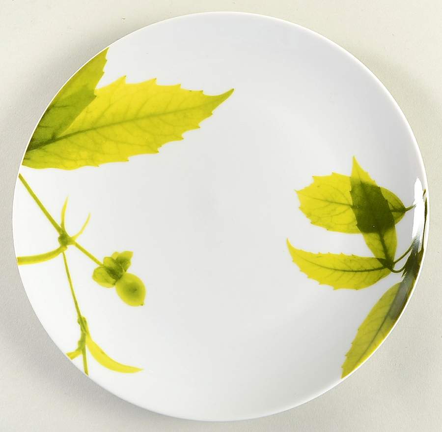 Verena Salad Plate by Crate & Barrel-1