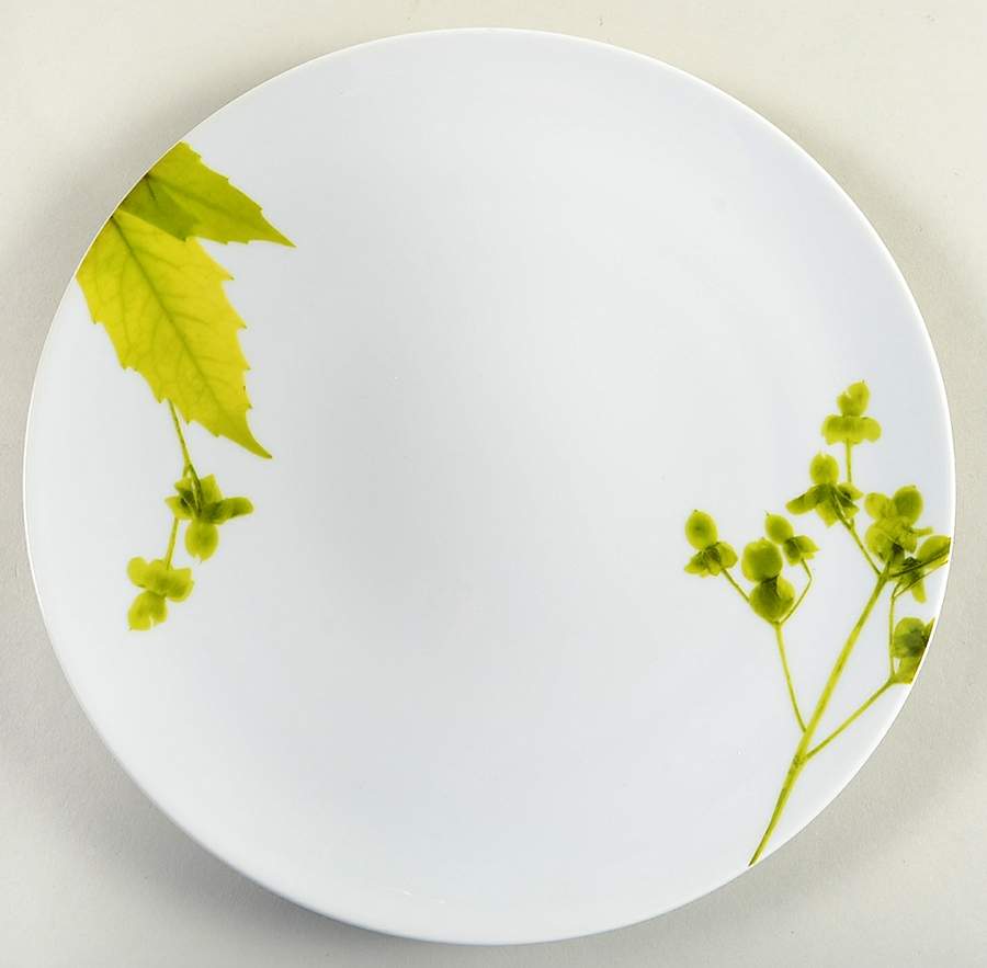Verena Dinner Plate by Crate & Barrel-1