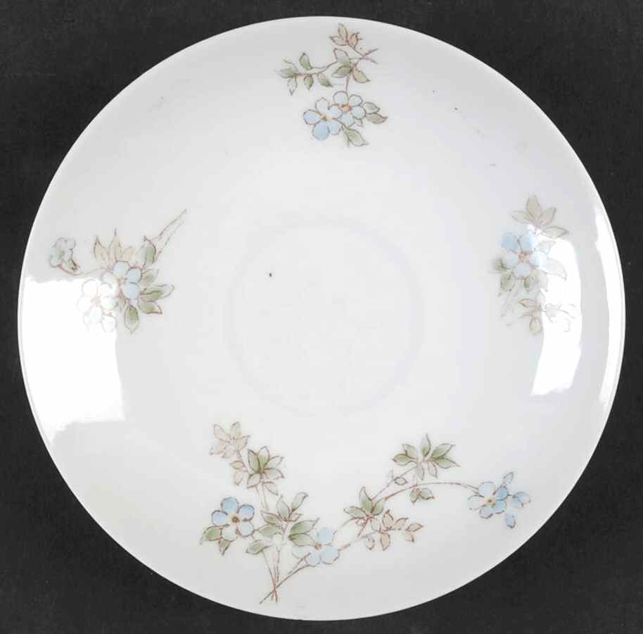 CHF1601 Saucer by Charles Field Haviland-1