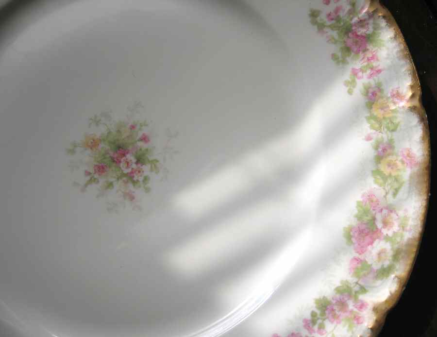 CHF1606 Dinner Plate by Charles Field Haviland-1