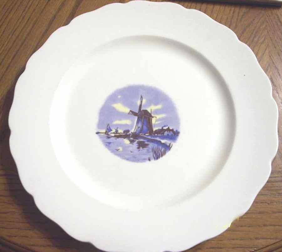 CAN255 Dinner Plate by Canonsburg-1