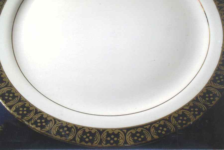 CRO357 Dinner Plate by Crooksville-1