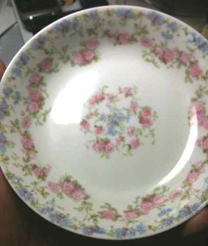 Schleiger 195-18 Fruit/Dessert (Sauce) Bowl by Charles Field Haviland-1