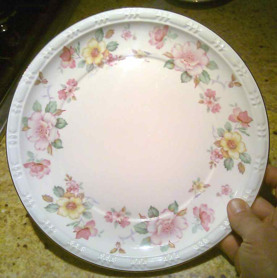 CAN175 (Gold Trim) Dinner Plate by Canonsburg-1