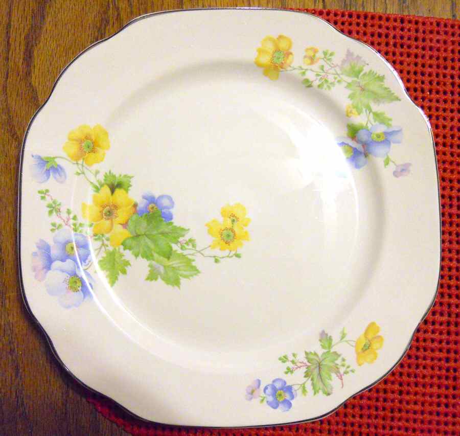 1134 Dinner Plate by Crooksville-1
